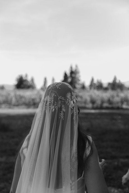 2025Zak_MadelineWedding-273