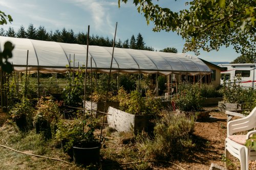 2025Zak_MadelineWedding-29