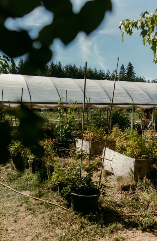 2025Zak_MadelineWedding-31