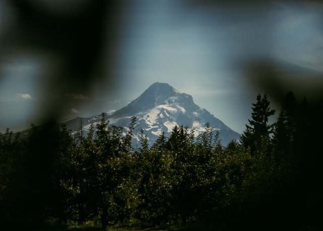 2025Zak_MadelineWedding-35