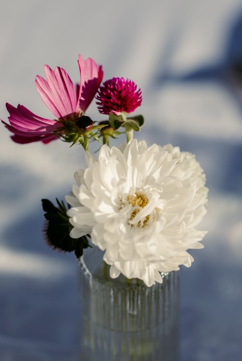 2025Zak_MadelineWedding-377