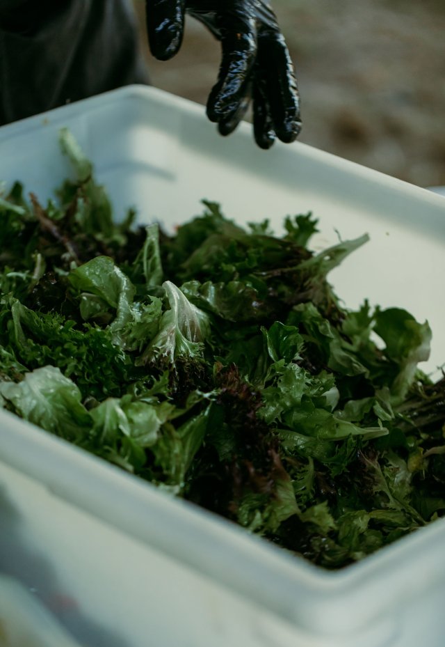 2025Zak_MadelineWedding-433