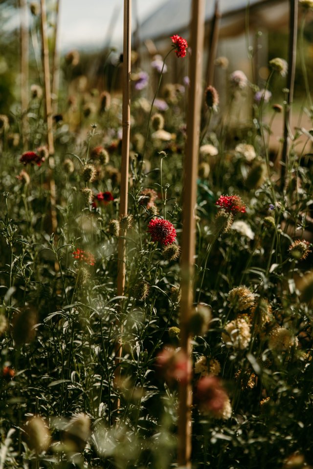 2025Zak_MadelineWedding-44