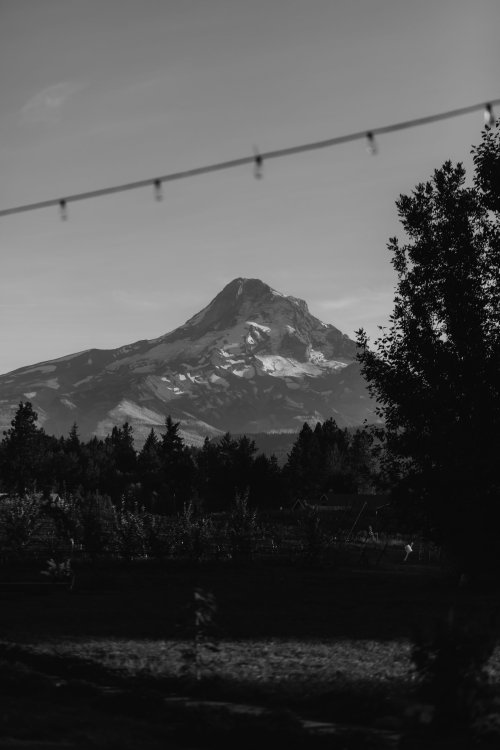 2025Zak_MadelineWedding-455