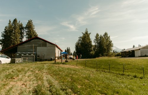 2025Zak_MadelineWedding-5