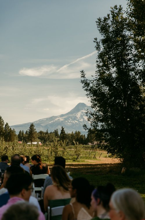 2025Zak_MadelineWedding-80